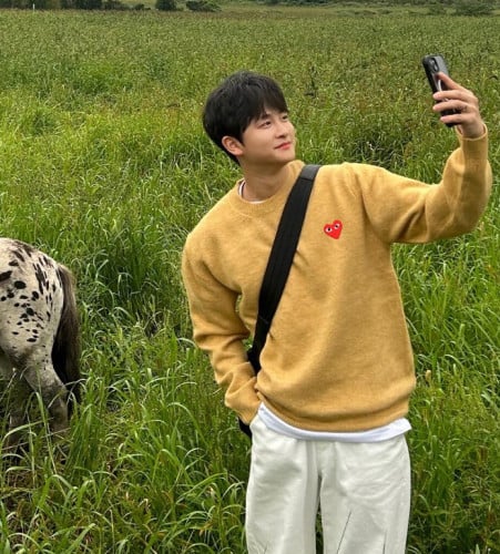 에어울 보카시 니트