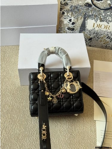 디올램스킨레이디백