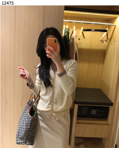 #고야드 [GOYARD] 수입프리미엄급 고야드 생루이백 pm 신상 입고💢 #태그 #가방 #12475