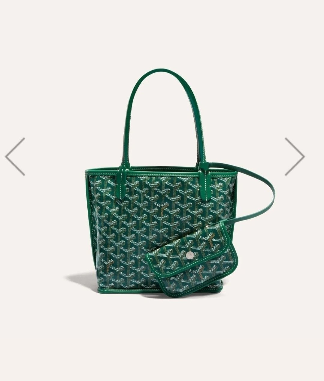 💕 고** 미니앙주 그린