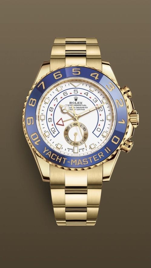 로렉* 요트마스터 2 금통