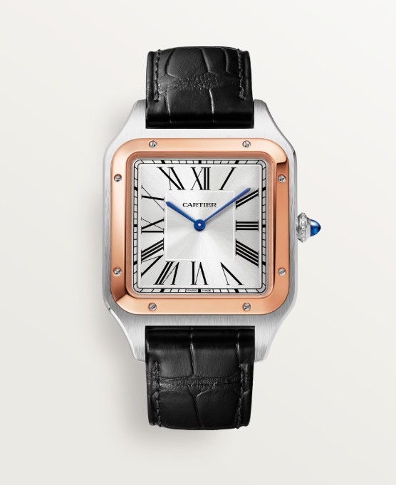 까르띠* 산토스 뒤몽