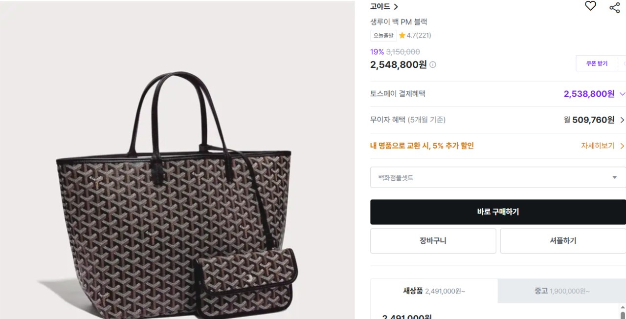 ✨고야드 생루이 백 PM 블랙 ✨