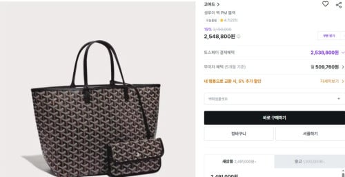 ✨고야드 생루이 백 PM 블랙 ✨