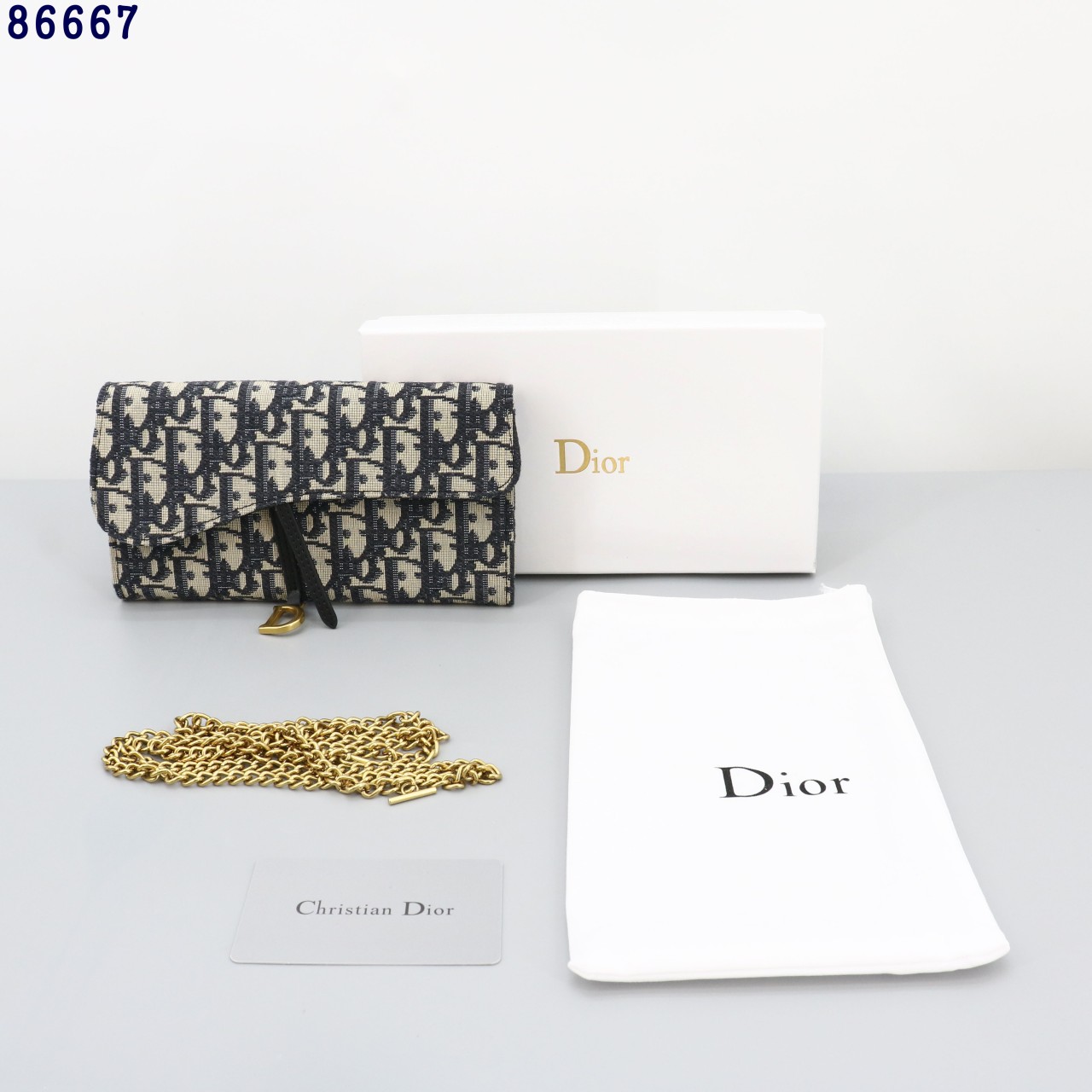 👹디올 새들 스몰 체인 WOC 파우치👹